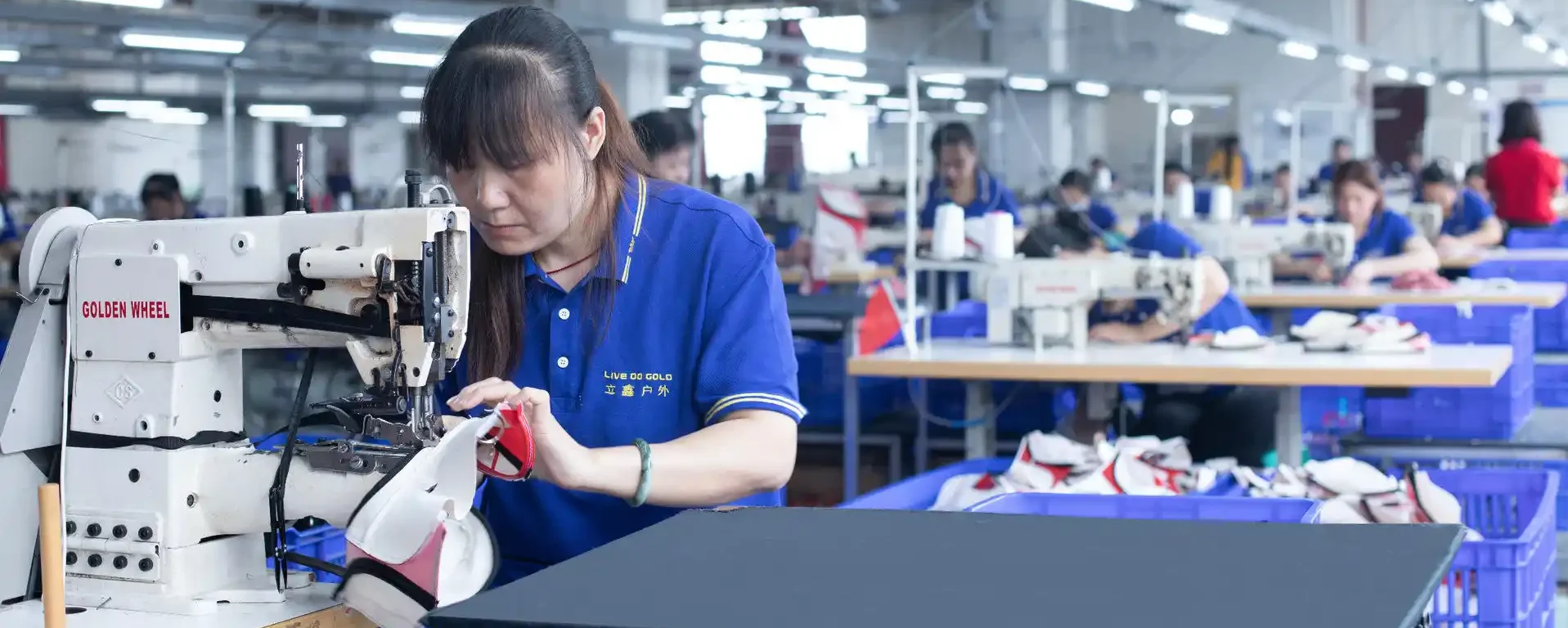 Professional Seamstress